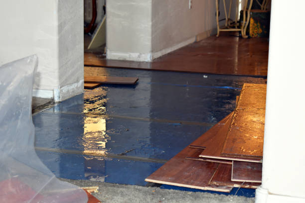 Professional Water Damage Repair technician working in Celeste, TX