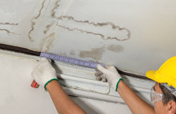 Reliable Water Damage Repair contractor in Celeste, TX by Aqua Guard Water Damage